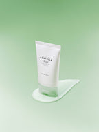 Skin1004 Madagascar Centella Tea-Trica B5 Cream 75ml Skin1004