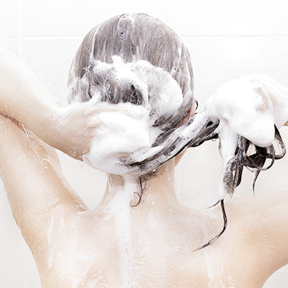 PyunkangYul Low pH Scalp Shampoo 500ml