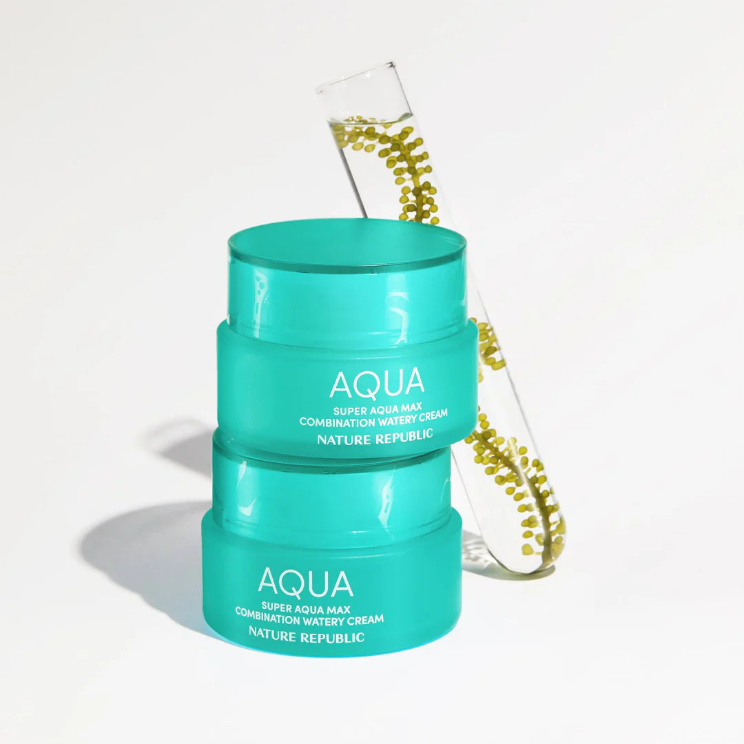 Nature Republic Super Aqua Max Combination Watery Cream 80ml