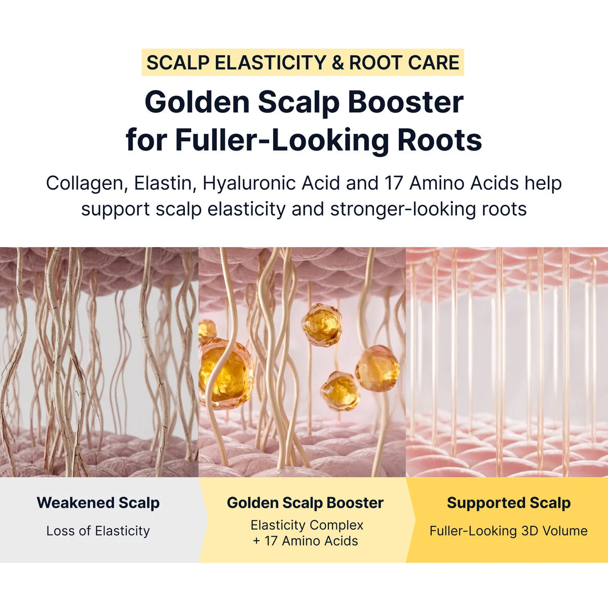Golden Scalp Booster med kollagen, elastin, hyaluronsyra och 17 aminosyror